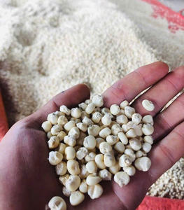 Maïs de style séché non gluant frais et délicieux avec un goût plein et sucré OGM Fabricant d'approvisionnement d'usine du Vietnam - Product Image 2