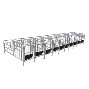 Diseño moderno cerdo jaulas de gestación prohibido equipos agrícolas - Product Image 1