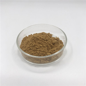 الأكثر مبيعًا مسحوق استخراج بذور الكراث الطبيعي النقي مسحوق بذور النحل - Product Image 4