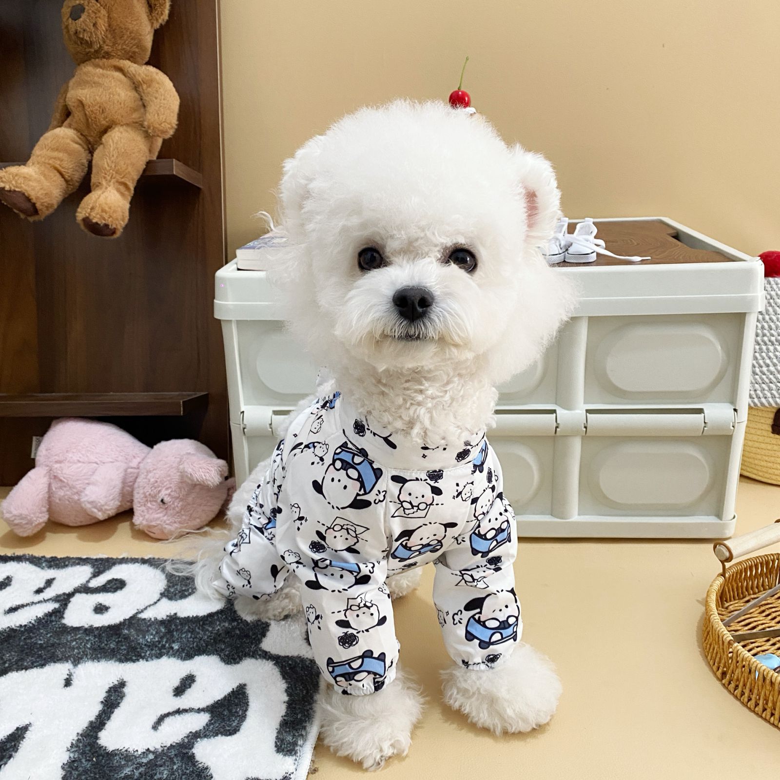 Combinaison anti-poussière pour chien Pacha