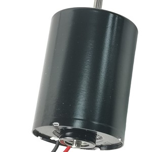Motor sin Escobillas 3040 de 36V con Control de Velocidad PWM y Sensor de Efecto Hall para Bomba de Diafragma - Product Image 1