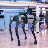 Robot chien quadrupède pour l'inspection et la sécurité D1 PRO