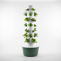 Système de culture hydroponique en tour à 5 niveaux et 4 plantes, 20 trous, pour ananas, herbes et laitues, idéal pour le jardin domestique – Vente directe usine, durable