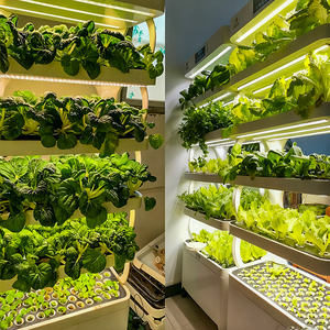 Système de culture hydroponique et aquaponique d'intérieur Skyplant avec pompe, jardin potager intelligent écologique, faible coût, haut rendement - Product Image 5