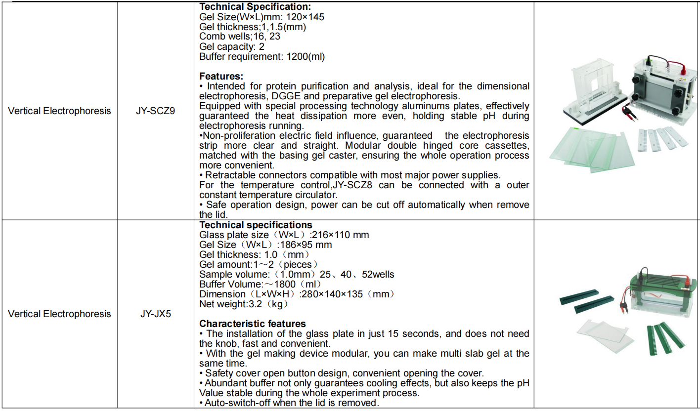 Vertical Gel Electrophoresis System With Electrophoresis