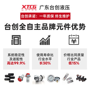 Groupe hydraulique Xtg sur mesure, petite taille, avec pression et débit réglables pour systèmes hydrauliques - Product Image 3