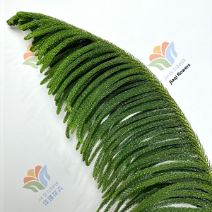 Ramas Frescas de <span class=keywords><strong>Araucaria</strong></span> Niloticosa para Decoración Floral de Bodas y Navidad, Planta Acuática Verde Fresca para el Festival de Primavera - Product Image 2