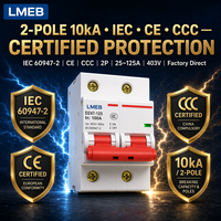 Pemutus Sirkuit Miniatur Liangkai DZ47s 3P 2-Pole 25A 6kA Kapasitas Pemutusan 230/400V Pemasangan Panel dengan Proteksi Li