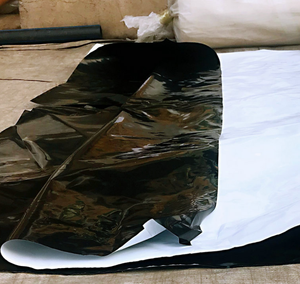 ฟิล์มโพลีเอทิลีนหนา 10 x 100 5.5 มิล 6 มิล 12 มิล สี<span class=keywords><strong>ด</strong></span>ำ สีขาว แบบม้วน สำหรับโรงเรือนพลาสติก - Product Image 6