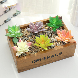 Accesorios Creativos para Manualidades, Pequeñas Cabezas de Flores de <span class=keywords><strong>Echeveria</strong></span>, Flores Artificiales de Plástico, Adornos Decorativos para el Hogar, Proceso de Resina - Product Image 1