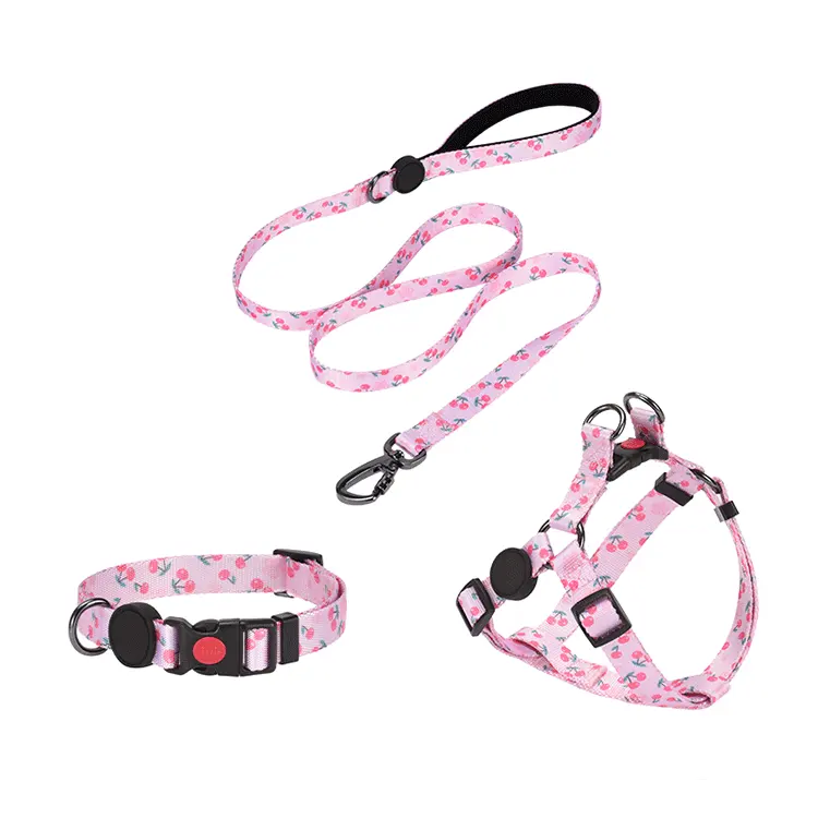 Custom personalized Colorful Luxury Fashion Dog Harness Set Durable Pet Dog Collars Leashes Harnesses