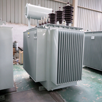 Transformateurs de distribution immergés dans l'huile à faible perte de série S11, 500/630/800/1000/1250/1600 KVA, bobinages en aluminium/cuivre, type extérieur