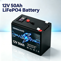 Batterie de stockage d'énergie LiFePO4 12V 50Ah avec sortie USB, batterie au lithium sans entretien pour UPS, bateau et installation solaire hors réseau