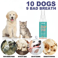 OEM vente en gros formule dentaire pour chien rince-bouche spray haleine fraîche et entretien de l'hygiène buccale