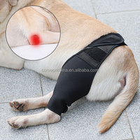 Attelle de genou pour chien de compagnie de Style simple déchiré ACL pattes postérieures et chat canin stabilisateurs de jambe avant enveloppement Halloween attelle soutien manches pour chien