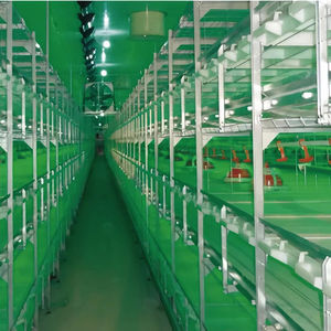 Nouveau type d'équipement de cage à œufs pour l'élevage de poulets Cages à poulets durables et robustes Spécifications et tailles sélectionnables - Product Image 2