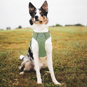 <span class=keywords><strong>Harness</strong></span> Anjing Jala Bernapas Grosir, Anti Tarik, Reflektif, Berbantalan, dengan Pegangan Kontrol, MOQ Rendah - Product Image 6