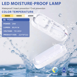 Applique murale d'extérieur à LED 24W, étanche IP65, base en aluminium, cloison ovale en PC pour jardin, garage, plastique, applique murale d'extérieur à LED en vrac - Product Image 2