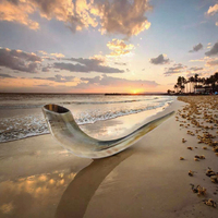 Shofar casher fabriqué en Israël, en corne de bélier naturelle, poli, toucher réel, respectueux de l'environnement, pour la prière, fait main, à des fins religieuses