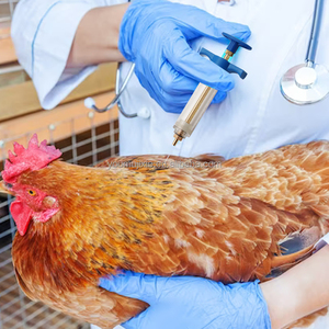 กระบอกฉีดยาสแตนเลสพลาสติกสำหรับสัตว์เลี้ยงในฟาร์ม ขนาด 10-100 มล. สีใส สำหรับโค กระบือ ม้า ยูมู - Product Image 5