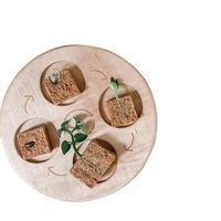 Houten Levenscyclus Lade Groei Cyclus Board Openheid Cyclus Aftrek Hout Puzzel Drukke Board Montessori