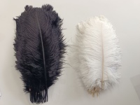 Plumas 35-40cm bricolage artisanat naturel mariage rose grande pièce maîtresse décor oiseau noir blanc plumes d'autruche pour la décoration de fête