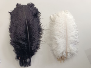 Plumas 35-40cm bricolage artisanat naturel mariage rose grande pièce maîtresse décor <span class=keywords><strong>oiseau</strong></span> noir blanc <span class=keywords><strong>plumes</strong></span> d'autruche pour la décoration de fête - Product Image 2