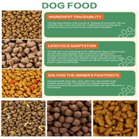 FOE Vente en gros d'usine OEM Aliments secs pour chiens naturels à haute teneur en protéines en vrac au poulet aromatisé pour chiens de tout âge