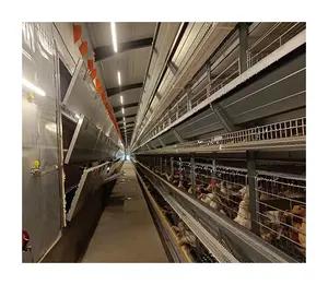 Venta caliente galvanizado automático H tipo Gallo pollo jaulas capa aves de corral para equipos agrícolas