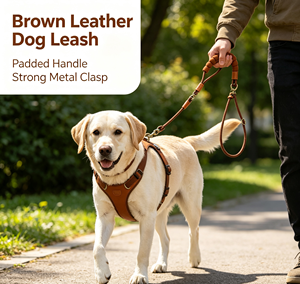 Correa trenzada para perros, cuerda de guía antipullido con asa para paseo y entrenamiento - Product Image 2