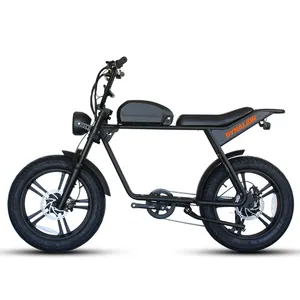 1000w 48v Super Fat Tire 73 Retro Electric Bicycle Ebike Dual Suspension E bike 2 Seater Electric Bicycle lima electric bicycle