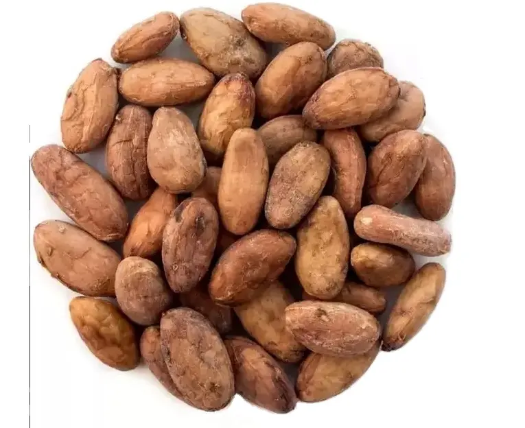 ココア豆アリバカカオ豆乾燥生カカオ発酵ココア豆高品質の日干しEU価格