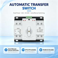 Interrupteur de transfert automatique 2P 63A, double alimentation ATS AC 230V 400V, disjoncteur pour usage domestique et industriel