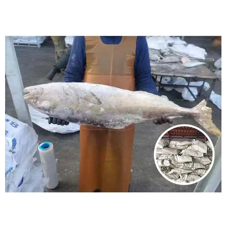 5kg + mantel merah ikan Congelados makanan laut segar kualitas bagus harga murah ekor kuning beku laut