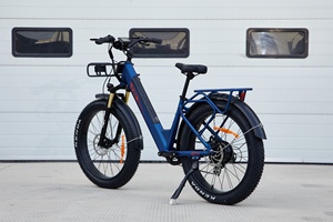 <span class=keywords><strong>Oferta</strong></span> Especial 48V Fat tire City <span class=keywords><strong>ebike</strong></span> 14ah 26 pulgadas Kenda Fat tire electrica bicicleta 750W step through electric City bike - Product Image 2