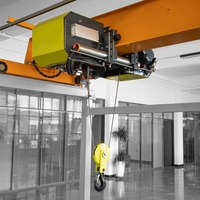 Mini-grue mobile à poutre simple 5T, grue électrique à chaîne européenne 300 kg, prix pour équipement de levage