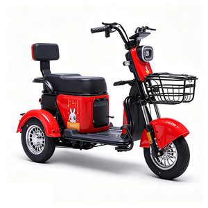 Tricycle électrique adulte 2 places 48V, tricycle électrique passager 351-500W avec panier - Product Image 2