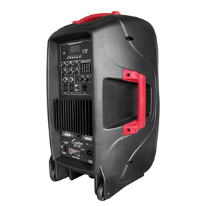 Enceinte active + passive HYANKE EX-10A 10 pouces, 100W RMS, avec USB et radio <span class=keywords><strong>FM</strong></span> - Product Image 3