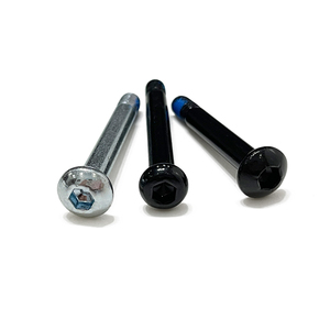 Din Standard Flat Round Pan Head Inner <strong>Hexagon</strong> Allen Countersunk <strong>Screws</strong> Stainless Steel <strong>M6</strong> M8 M10 M12 with Flat Inner <strong>Hexagon</strong> - Product Image 2