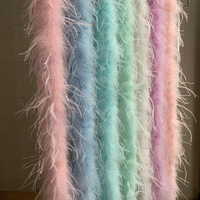 Boa en plumes d'autruche longues et moelleuses à 2 plis, teinture naturelle, pour robes de mariée, fêtes, carnaval, artisanat, décoration, directement de l'usine