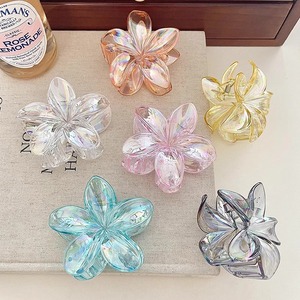 8 ס "מ צבע חדש שקוף קטעי פרח שיער פראנגיפאני עם שיער פרח כרטיס קליפ שיער לנשים - Product Image 3