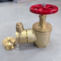 Dispositif de test d'eau en laiton 1/2"-2" pour système d'arrosage automatique, avec test de protection incendie et vanne de vidange