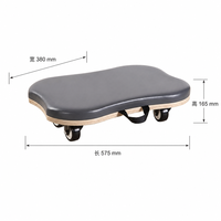 Planche de glisse Pilates Orbit Smooth, base à roulement silencieux, idéale pour les surfaces en bois dur ou en tapis