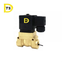 Vanne solénoïde de régulation de gaz à 2 voies en laiton de haute qualité, marque TSD, vente directe usine, DN15-DN50, garantie 1 an, OEM