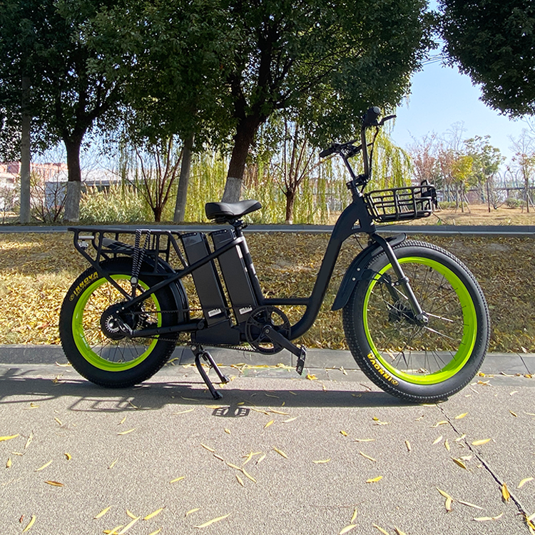 OEM Custom Fat Tire Electric Trike