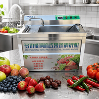 Laveuse de légumes et fruits à bulles de petite capacité avec chauffage et ozone pour cantines scolaires, restaurants et cuisines