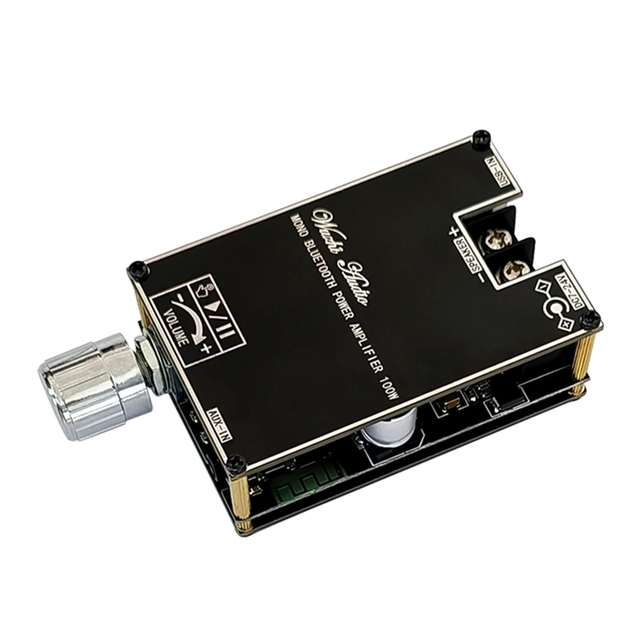 ZK-1001B mono 100W audio power amplifier board module box function TPA3116