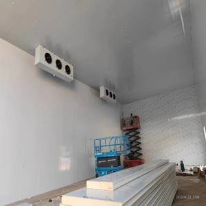 Equipo de refrigeración Pu Panel sándwich Habitación <span class=keywords><strong>con</strong></span> congelador de almacenamiento en frío a un precio competitivo <span class=keywords><strong>con</strong></span> <span class=keywords><strong>compresor</strong></span> Copeland - Product Image 5