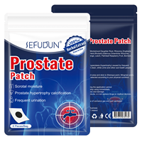 Offre Spéciale : Patchs pour Hommes – Soin de la Prostate, Apaisement de la Prostatite et de l'Urétrite, Soulagement des Douleurs Urinaires, Soutien Renforcé des Reins – Usage Corporel (6 patchs/sachet)