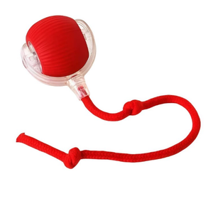 ลูกบอลเดินเล่นอัตโนมัติสำหรับสัตว์เลี้ยง ขายดี ทนทาน ของเล่นเคี้ยวเล่นเพื่อความบันเทิงด้วยตัวเอง ของเล่นสัตว์เลี้ยงยอดฮิตใน TikTok ลูกบอลดึงเล่นสำหรับสุนัขและแมว สไตล์ทันสมัย - Product Image 6